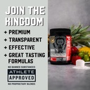 iron-kingdom-pre-workout-powder-for-men-women-caffeine-beta-alanine-aminos-for-intense-focus-endurance-pump-preworkout-energy-drink-powder-natural-fruit-punch-42-servings-04-iron-kingdom-pre-workout-powder-for-men-women-caff-5.jpg