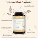 liposomal-vitamin-c-1400mg-capsules-immune-support-supplement-high-absorption-vitamin-antioxidant-fat-soluble-vitamin-c-supplement-180-capsules-03-liposomal-vitamin-c-1400mg-capsules-immune-support-3.jpg