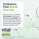 hyperbiotics-vital-nutrients-pro-15-advanced-probiotics-for-women-and-men-15-strains-kiwifruit-clinically-studied-daily-probiotics-for-digestive-health-gas-bloating-30-vegan-tablets-05-hyperbiotics-vital-nutrients-pro-15-advanced-probi-5.jpg