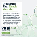hyperbiotics-vital-nutrients-pro-mood-probiotic-with-l-theanine-clinically-studied-probiotics-for-women-and-men-to-support-stress-management-and-mood-support-60-vegan-count-05-hyperbiotics-vital-nutrients-pro-mood-probiotic-wi-5.jpg