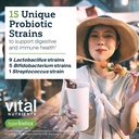hyperbiotics-vital-nutrients-pro-15-advanced-probiotics-for-women-and-men-15-strains-kiwifruit-clinically-studied-daily-probiotics-for-digestive-health-gas-bloating-30-vegan-tablets-06-hyperbiotics-vital-nutrients-pro-15-advanced-probi-6.jpg