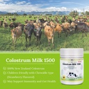 kids-grass-fed-colostrum-and-propolis-pack-new-zealand-colostrum-1500-kids-propolis-plus-colostrum-03-kids-grass-fed-colostrum-and-propolis-pack-new-zea-3.jpg