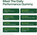 create-daily-performance-gummy-creatine-monohydrate-gummies-for-men-women-boost-energy-immunity-strength-vegan-gluten-free-4g-creatine-5g-fiber-per-serving-120-ct-gummies-30-servings-07-create-daily-performance-gummy---creatine-monohydr-8.jpg