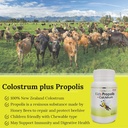 kids-grass-fed-colostrum-and-propolis-pack-new-zealand-colostrum-1500-kids-propolis-plus-colostrum-08-kids-grass-fed-colostrum-and-propolis-pack-new-zea-8.jpg