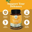 pure-quercetin-with-bromelain-supplement-for-immunity-high-potent-antioxidant-bromelain-quercetin-supplement-for-respiratory-heart-health-breathe-joint-support-nutritional-complex-90-count-02-pure-quercetin-with-bromelain-supplement-for-immun-3.jpg
