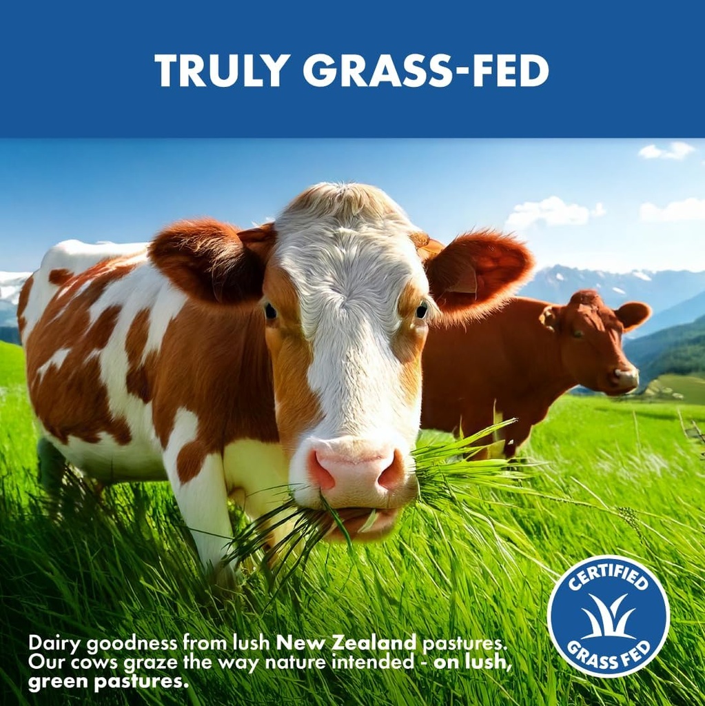 opportuniteas-grass-fed-whey-protein-powder-concentrate-chocolate-pure-protein-supplement-non-gmo-hormone-free-gluten-free-1lb-03-opportuniteas-grass-fed-whey-protein-powder-concen-3.jpg