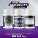 elderberry-quercetin-bilberry-turmeric-tart-cherry-ginger-vitamin-c-vitamin-d3-zinc-black-pepper-150-capsules-made-in-usa-06-elderberry-quercetin-bilberry-turmeric-tart-cherry-6.jpg