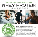muscle-feast-grass-fed-whey-protein-concentrate-powder-all-natural-hormone-free-pasture-raised-whey-protein-powder-for-women-men-clean-non-gmo-gluten-free-whey-concentrate-chocolate-2lb-04-muscle-feast-grass-fed-whey-protein-concentrate-po-4.jpg