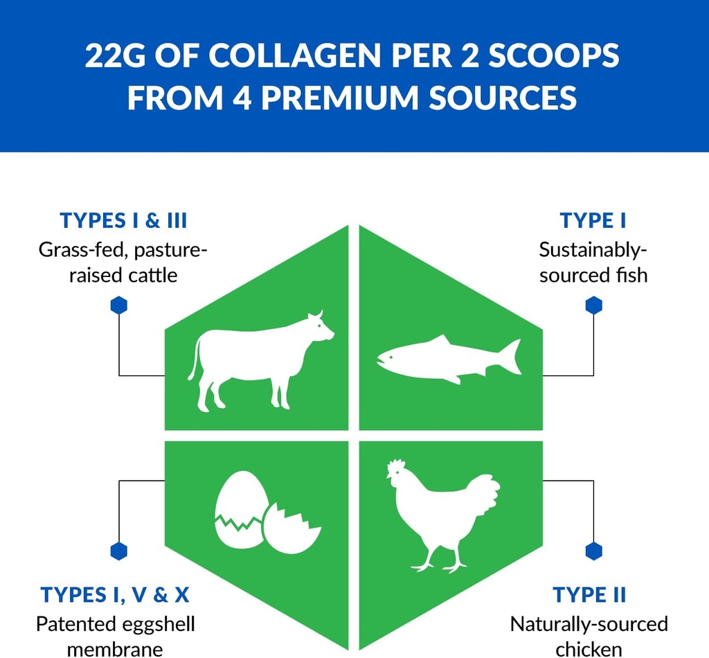 biotrust-ageless-multi-collagen-peptides-powder-5-types-i-ii-iii-v-x-unflavored-collagen-powder-for-women-men-hydrolyzed-protein-grass-fed-beef-fish-chicken-eggshell-membrane-3-pk-04-biotrust-ageless-multi-collagen-peptides-powder-5--4.jpg
