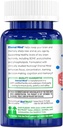 biotrust-eternal-mind-brain-supplements-for-memory-focus-sharpen-mental-agility-recall-concentration-with-age-clinically-studied-supplement-for-longevity-cognition-30-servings-07-biotrust-eternal-mind-brain-supplements-for-memory-7.jpg