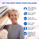 biotrust-ageless-multi-collagen-peptides-powder-5-types-i-ii-iii-v-x-unflavored-collagen-powder-for-women-men-hydrolyzed-protein-grass-fed-beef-fish-chicken-eggshell-membrane-3-pk-05-biotrust-ageless-multi-collagen-peptides-powder-5--5.jpg