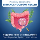gut-repair-360-natural-formulated-formula-emerged-from-the-lab-pure-essence-organic-capsules-non-gmo-gluten-free-soy-free-dairy-free-usa-made-supporting-your-healthy-gut-05-gut-repair-360-natural-formulated-formula-emerged--6.jpg