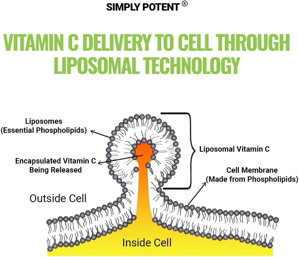 simply-potent-liposomal-vitamin-c-1500mg-supplement-enhanced-absorption-bio-availability-immune-support-antioxidant-non-gmo-gluten-free-vitamin-c-liposomal-liposomal-vit-c-capsules-03-simply-potent-liposomal-vitamin-c-1500mg-supplemen-4.jpg