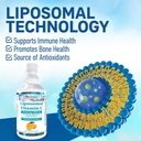 bio-absorb-liposomal-vitamin-c-1000mg-150-servings-of-corn-free-liquid-vitamin-c-non-gmo-soy-free-vegan-natural-orange-flavor-25oz-04-bio-absorb-liposomal-vitamin-c-1000mg-150-servings-4.jpg