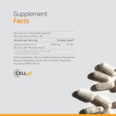 liposomal-vitamin-c-supplement-enhanced-immunity-support-antioxidant-rich-optimal-absorption-bioavailability-ascorbic-acid-power-non-gmo-gluten-free-plant-based-120-veggie-caps-02-liposomal-vitamin-c-supplement---enhanced-immunity-2.jpg