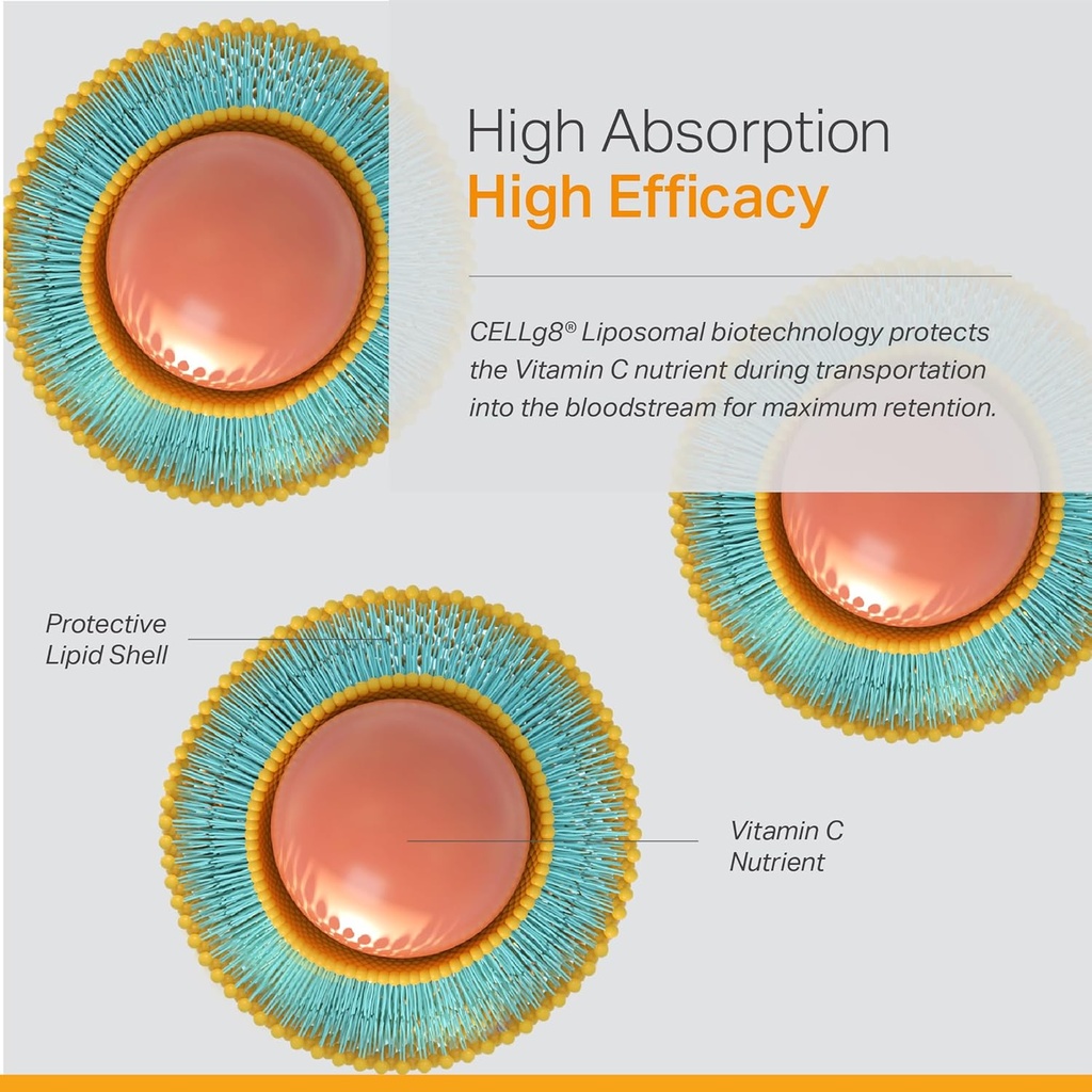 liposomal-vitamin-c-supplement-enhanced-immunity-support-antioxidant-rich-optimal-absorption-bioavailability-ascorbic-acid-power-non-gmo-gluten-free-plant-based-120-veggie-caps-04-liposomal-vitamin-c-supplement---enhanced-immunity-4.jpg