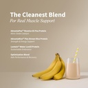 snap-supplements-organic-plant-based-vegan-protein-powder-nitric-oxide-boosting-protein-powder-bcaa-amino-acid-for-muscle-growth-performance-recovery-30-servings-banana-03-snap-supplements-organic-plant-based-vegan-protein-3.jpg