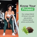 pescience-select-vegan-protein-powder-plant-based-with-amazing-taste-smooth-texture-pea-protein-brown-rice-blend-dairy-free-gluten-free-5-serving-peanut-butter-delight-03-pescience-select-vegan-protein-powder-plant-based--3_40257024-296f-49b4-9298-c0b859b45dfd.jpg