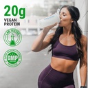 pescience-select-vegan-protein-powder-plant-based-with-amazing-taste-smooth-texture-pea-protein-brown-rice-blend-dairy-free-gluten-free-5-serving-peanut-butter-delight-05-pescience-select-vegan-protein-powder-plant-based--5_38db6649-dd12-4ac7-8ce0-937a32f85d33.jpg