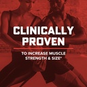 gnc-amp-wheybolic-clinically-proven-protein-powder-40g-whey-protein-bcaa-leucine-increases-muscle-strength-muscle-building-3rd-party-tested-gluten-free-classic-vanilla-10-servings-05-gnc-amp-wheybolic-clinically-proven-protein-powder-5_f39ab8e9-9ca7-4988-8f38-0a1960951c30.jpg