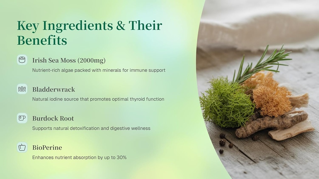 organic-sea-moss-capsules-2000mg-irish-sea-moss-bladderwrack-burdock-root-100-vegan-superfood-thyroid-immune-support-120-capsules-non-gmo-03-organic-sea-moss-capsules-2000mg-irish-sea-moss-bl-4.jpg