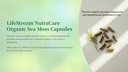 Organic Sea Moss Capsules – 2000mg Irish Sea Moss + Bladderwrack & Burdock Root – 100% Vegan Superfood – Thyroid & Immune Support – 120 Capsules – Non-GMO.