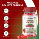 '- Slim Labs ACV Keto Gummies for Wellness and Metabolic Support - Weight Loss Gummies - Belly Fat Diet (60 Gummies)
